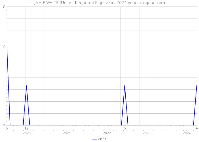 JAMIE WHITE (United Kingdom) Page visits 2024 