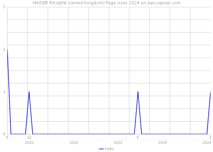 HAIDER RAVJANI (United Kingdom) Page visits 2024 