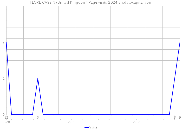 FLORE CASSIN (United Kingdom) Page visits 2024 