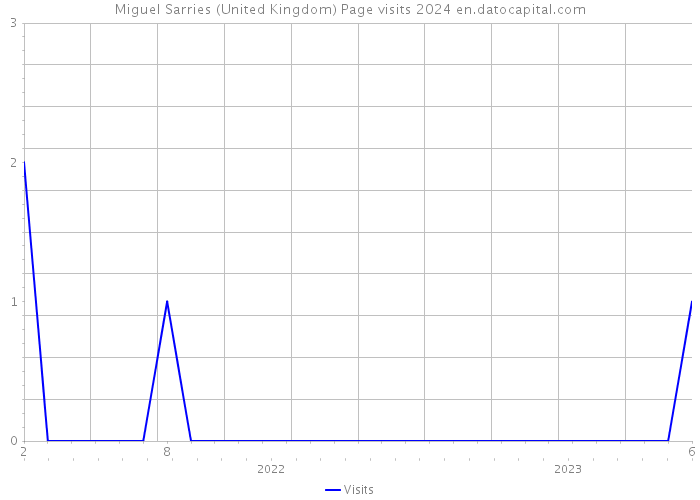 Miguel Sarries (United Kingdom) Page visits 2024 