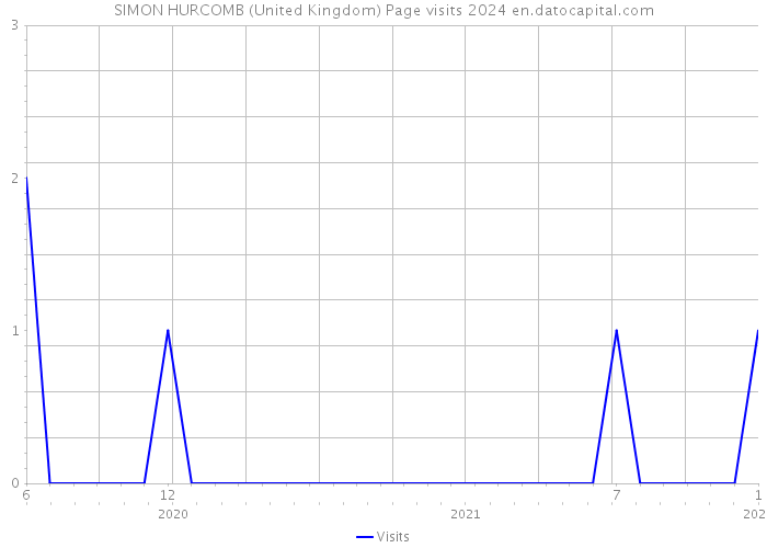 SIMON HURCOMB (United Kingdom) Page visits 2024 