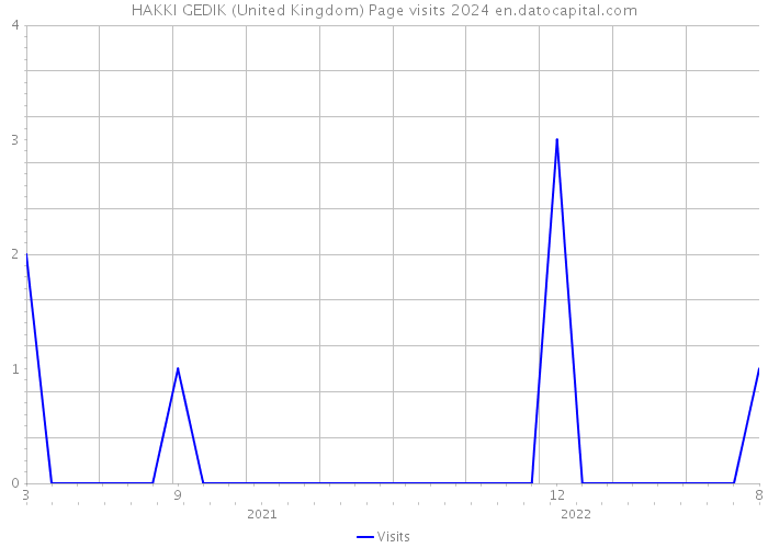 HAKKI GEDIK (United Kingdom) Page visits 2024 