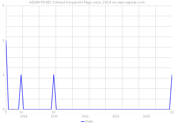 ADAM PAVEY (United Kingdom) Page visits 2024 