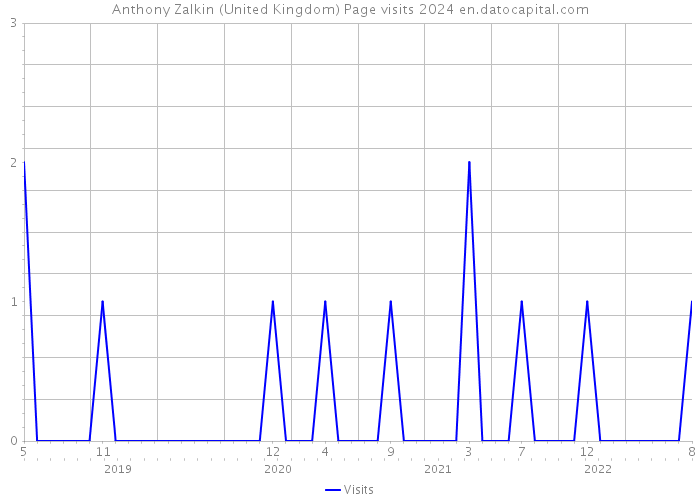 Anthony Zalkin (United Kingdom) Page visits 2024 