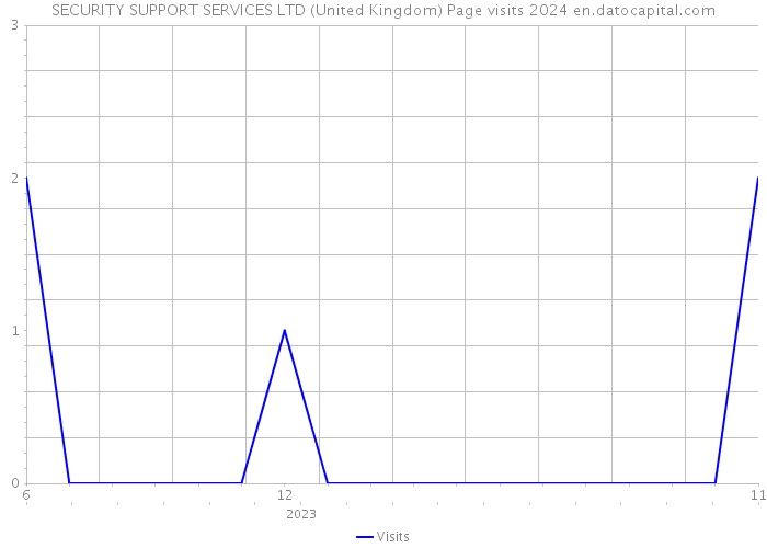 SECURITY SUPPORT SERVICES LTD (United Kingdom) Page visits 2024 