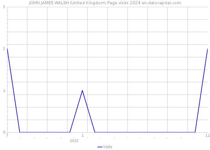 JOHN JAMES WALSH (United Kingdom) Page visits 2024 