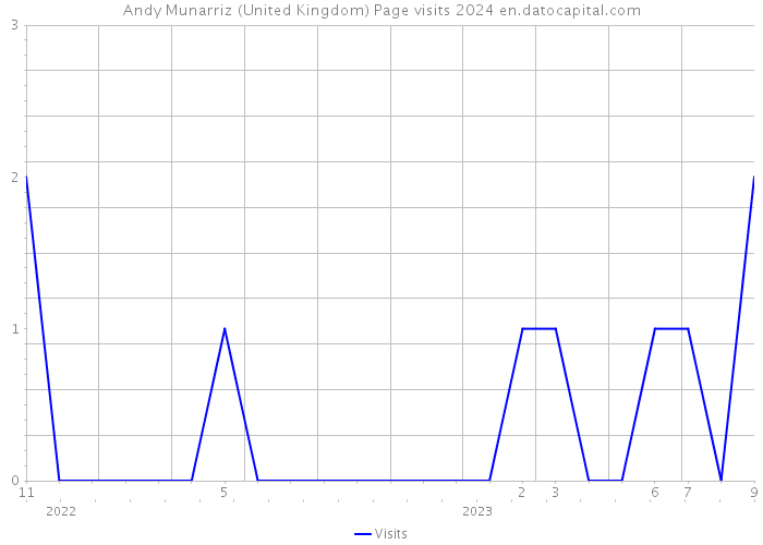 Andy Munarriz (United Kingdom) Page visits 2024 