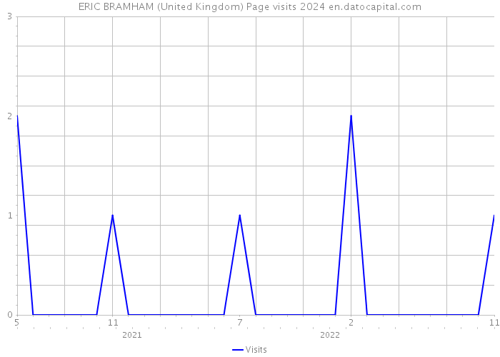 ERIC BRAMHAM (United Kingdom) Page visits 2024 