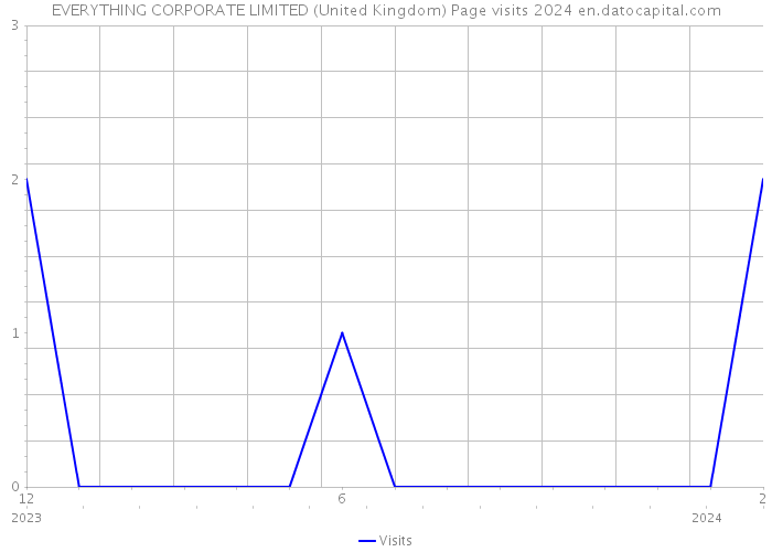 EVERYTHING CORPORATE LIMITED (United Kingdom) Page visits 2024 