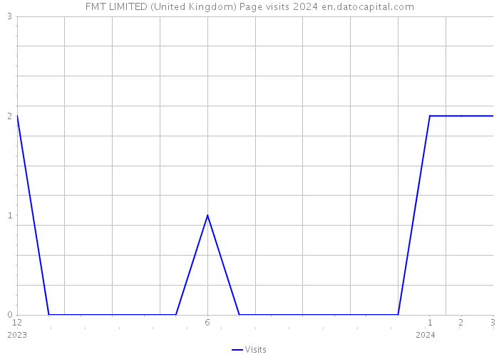 FMT LIMITED (United Kingdom) Page visits 2024 
