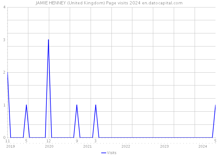 JAMIE HENNEY (United Kingdom) Page visits 2024 