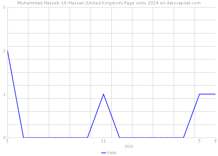 Muhammad Haseeb-Ul-Hassan (United Kingdom) Page visits 2024 