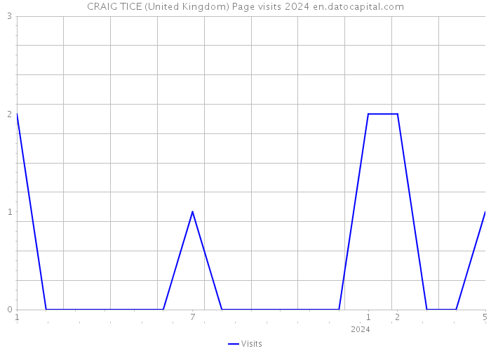CRAIG TICE (United Kingdom) Page visits 2024 