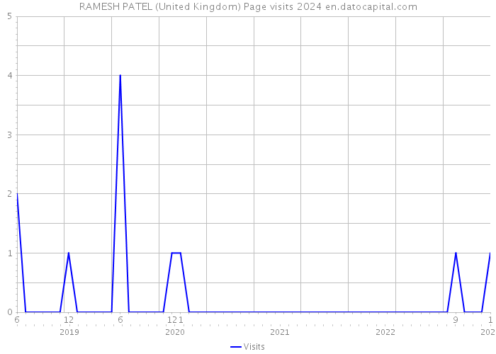 RAMESH PATEL (United Kingdom) Page visits 2024 