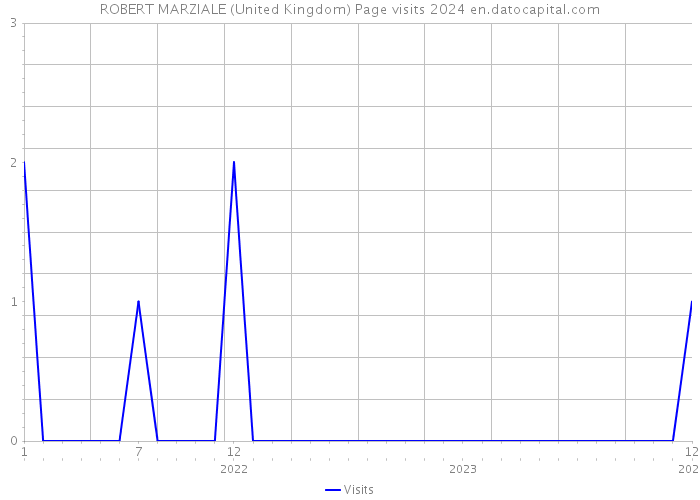 ROBERT MARZIALE (United Kingdom) Page visits 2024 