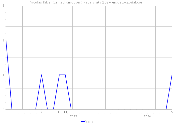 Nicolas Kibel (United Kingdom) Page visits 2024 