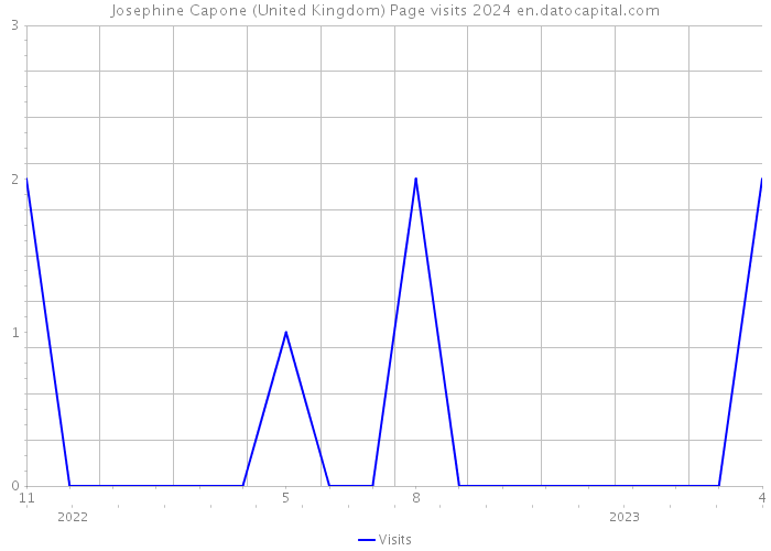 Josephine Capone (United Kingdom) Page visits 2024 