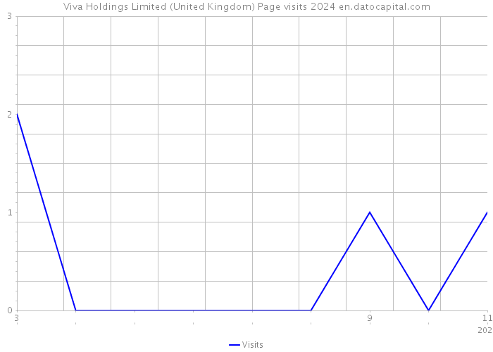 Viva Holdings Limited (United Kingdom) Page visits 2024 