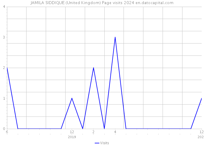 JAMILA SIDDIQUE (United Kingdom) Page visits 2024 