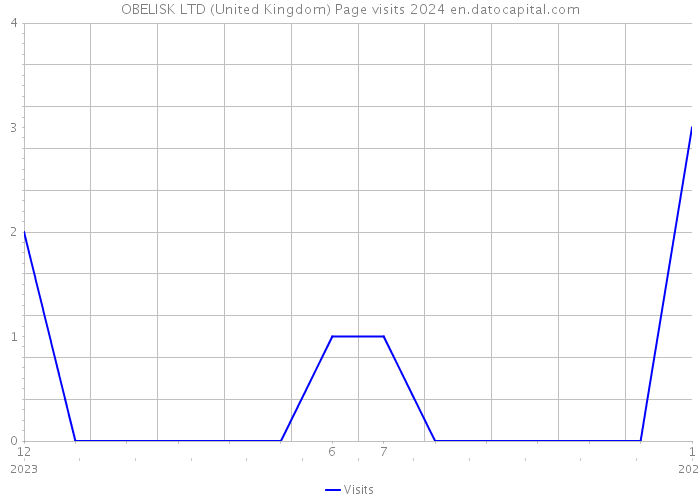 OBELISK LTD (United Kingdom) Page visits 2024 