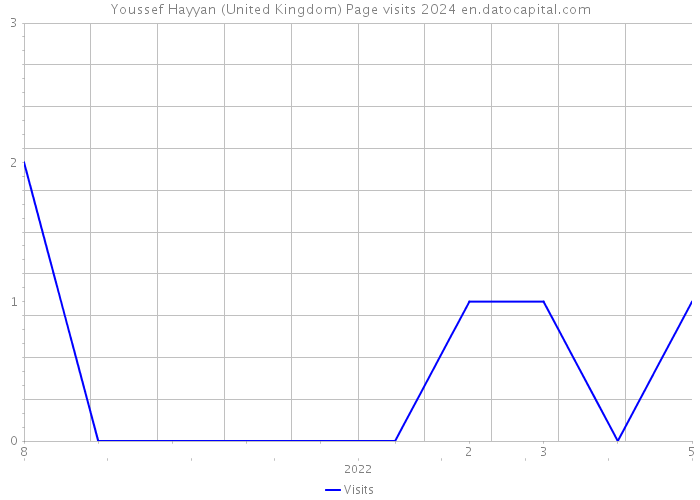 Youssef Hayyan (United Kingdom) Page visits 2024 