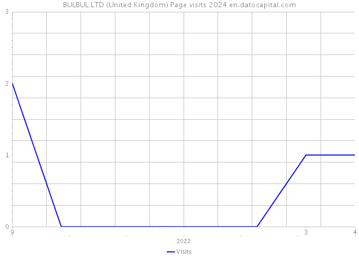 BULBUL LTD (United Kingdom) Page visits 2024 