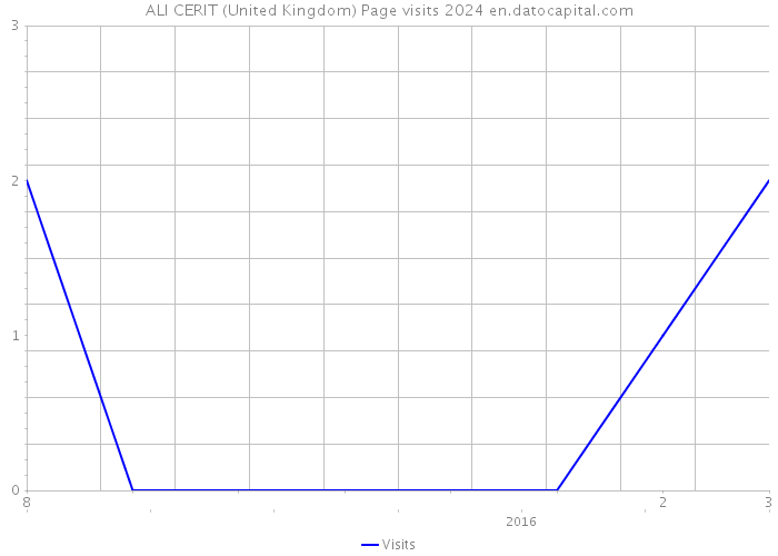 ALI CERIT (United Kingdom) Page visits 2024 