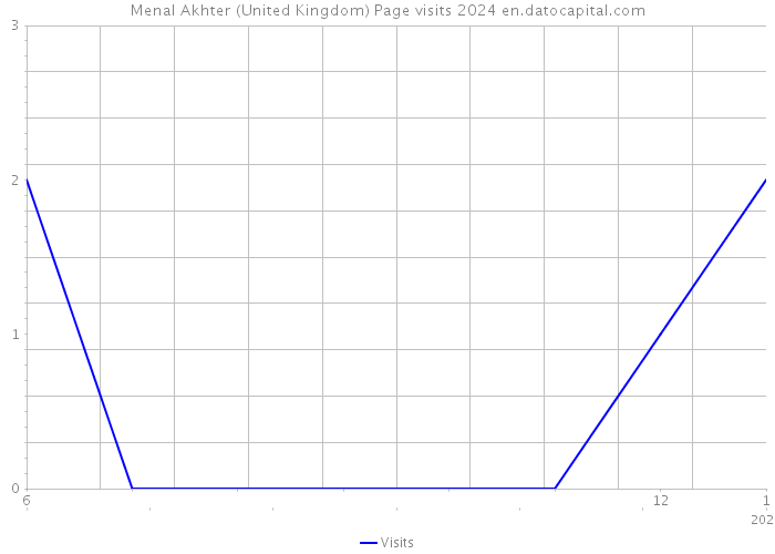 Menal Akhter (United Kingdom) Page visits 2024 