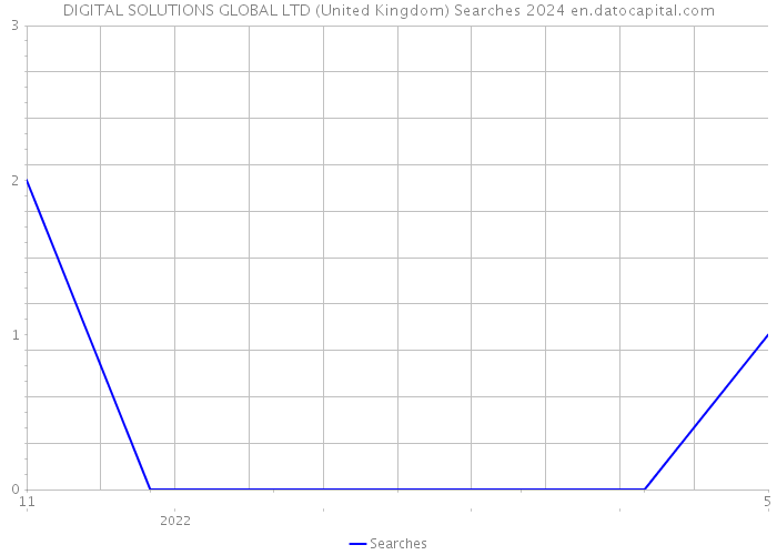 DIGITAL SOLUTIONS GLOBAL LTD (United Kingdom) Searches 2024 