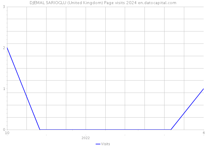 DJEMAL SARIOGLU (United Kingdom) Page visits 2024 