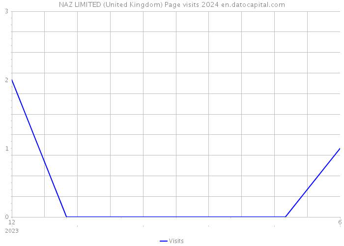 NAZ LIMITED (United Kingdom) Page visits 2024 