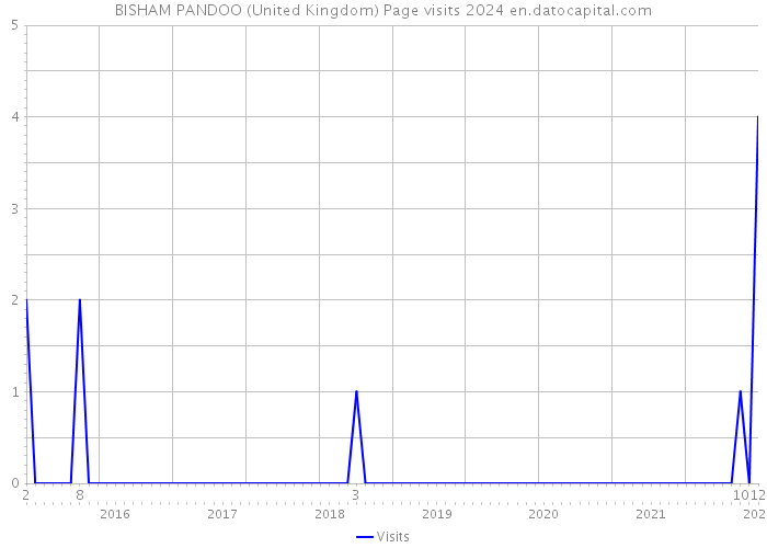 BISHAM PANDOO (United Kingdom) Page visits 2024 