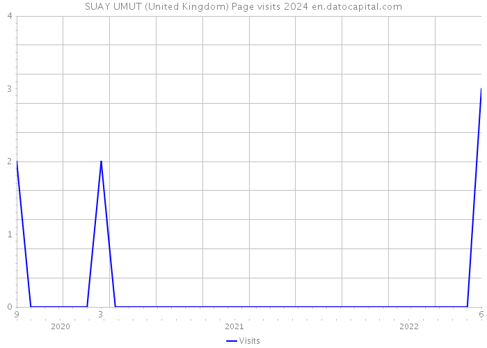 SUAY UMUT (United Kingdom) Page visits 2024 