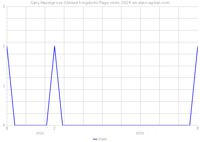Gary Hazelgrove (United Kingdom) Page visits 2024 