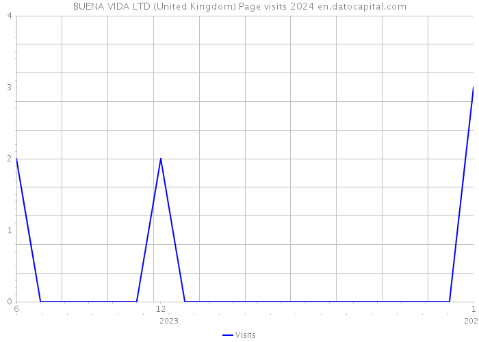BUENA VIDA LTD (United Kingdom) Page visits 2024 