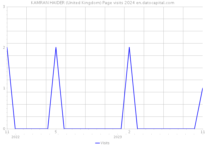 KAMRAN HAIDER (United Kingdom) Page visits 2024 