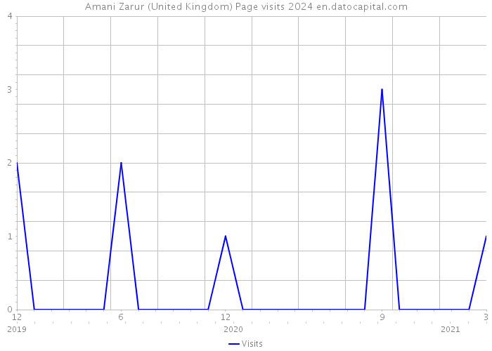 Amani Zarur (United Kingdom) Page visits 2024 
