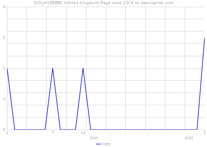 DOGAN ERBEK (United Kingdom) Page visits 2024 