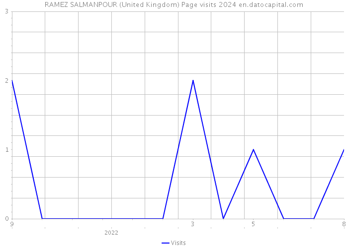 RAMEZ SALMANPOUR (United Kingdom) Page visits 2024 