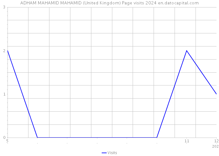 ADHAM MAHAMID MAHAMID (United Kingdom) Page visits 2024 