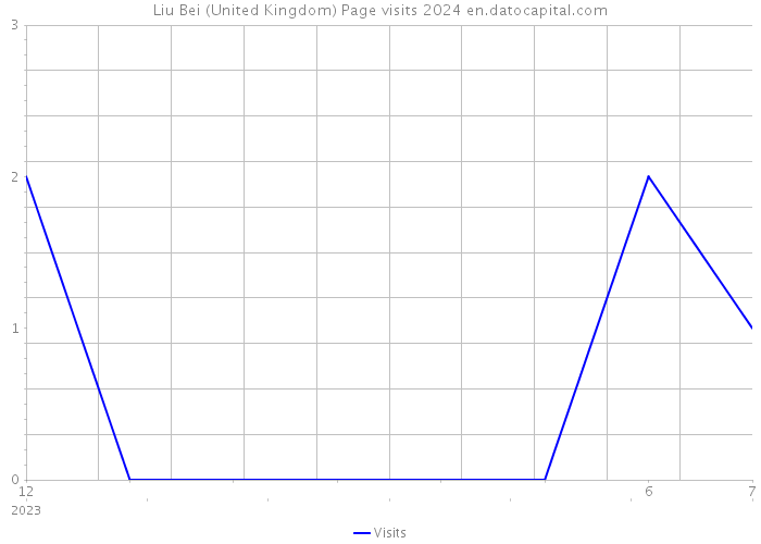 Liu Bei (United Kingdom) Page visits 2024 