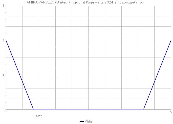 AMIRA PARVEEN (United Kingdom) Page visits 2024 