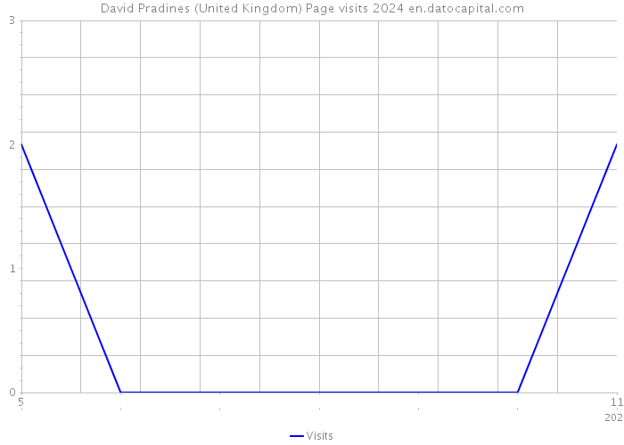 David Pradines (United Kingdom) Page visits 2024 