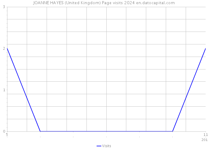 JOANNE HAYES (United Kingdom) Page visits 2024 