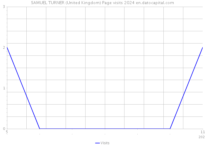 SAMUEL TURNER (United Kingdom) Page visits 2024 