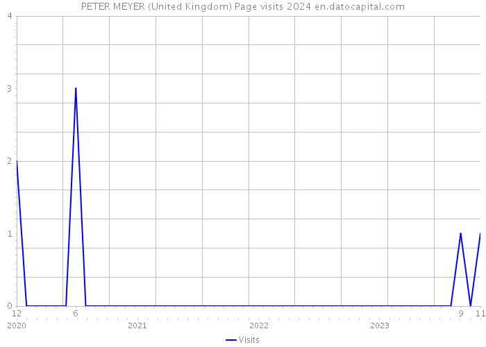 PETER MEYER (United Kingdom) Page visits 2024 