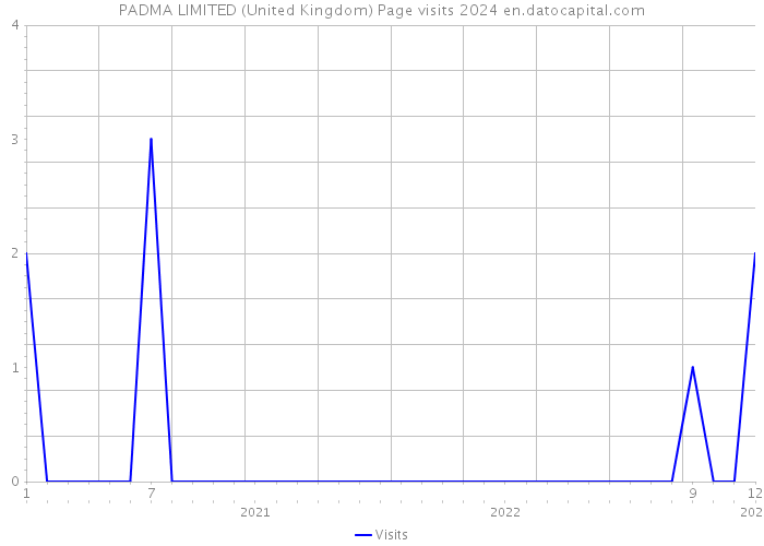 PADMA LIMITED (United Kingdom) Page visits 2024 