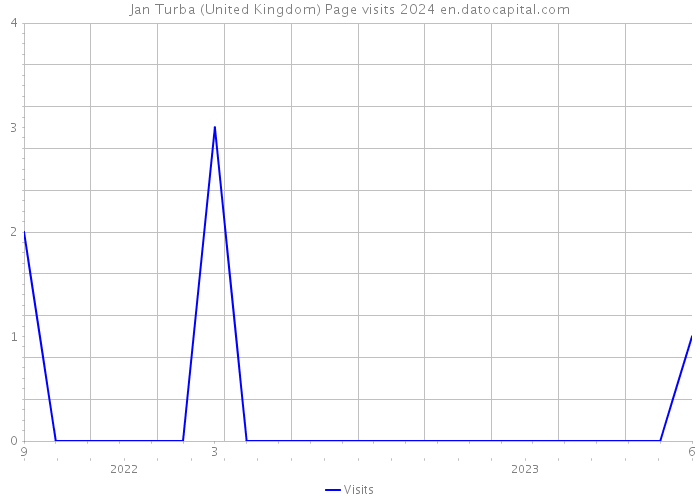 Jan Turba (United Kingdom) Page visits 2024 