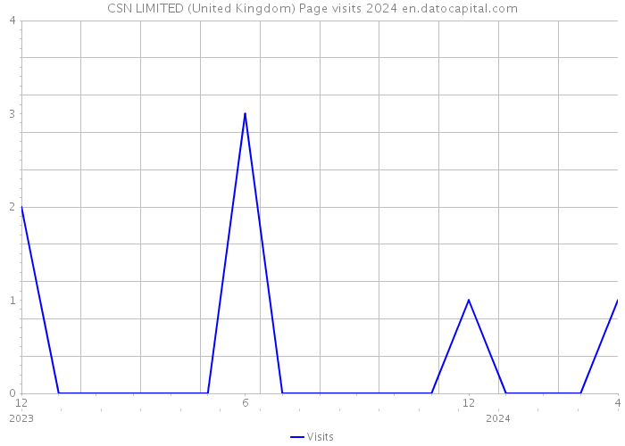 CSN LIMITED (United Kingdom) Page visits 2024 