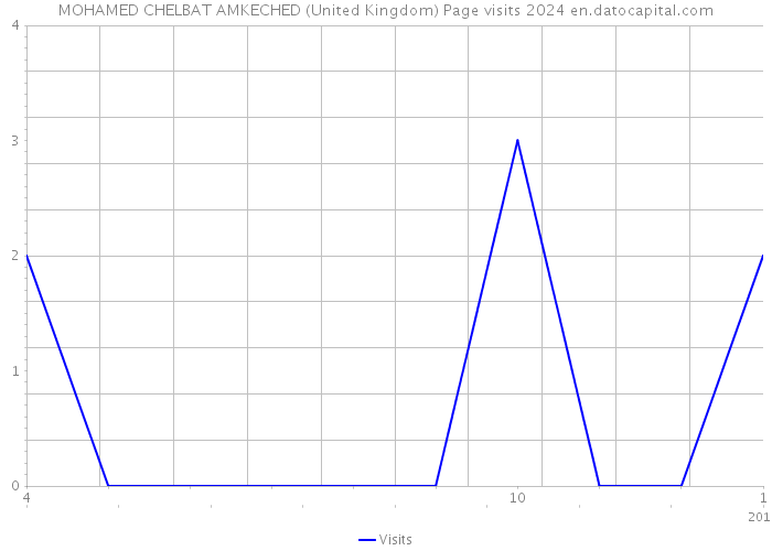 MOHAMED CHELBAT AMKECHED (United Kingdom) Page visits 2024 